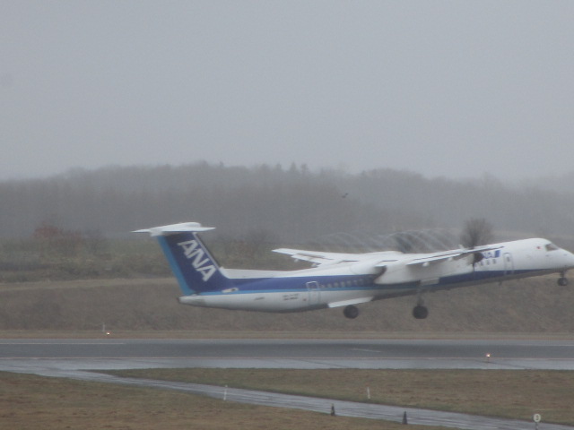 20250425_103317.JPG