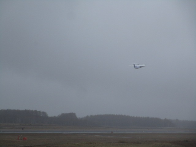 20250425_103335.JPG