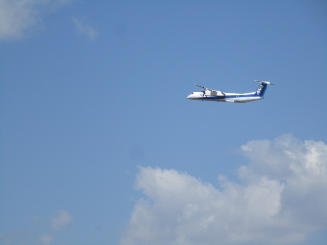 20250426_102046.JPG