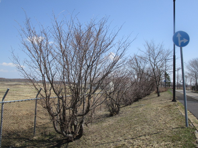 20250426_102158.JPG