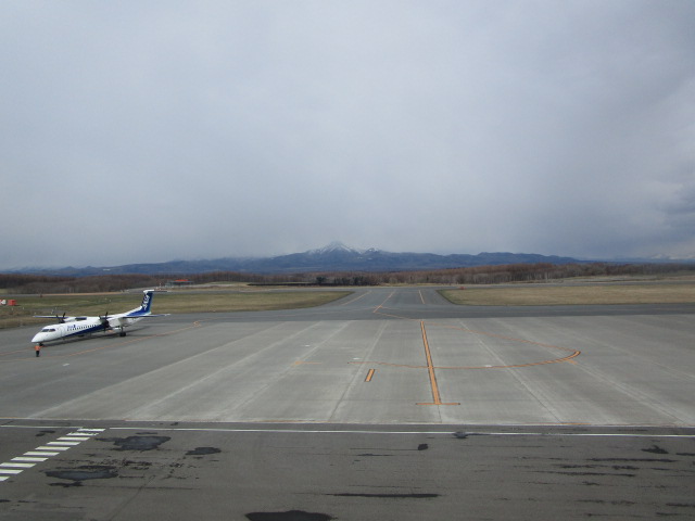 20250427_094333.JPG