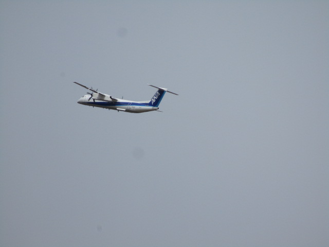 20250427_094553.JPG