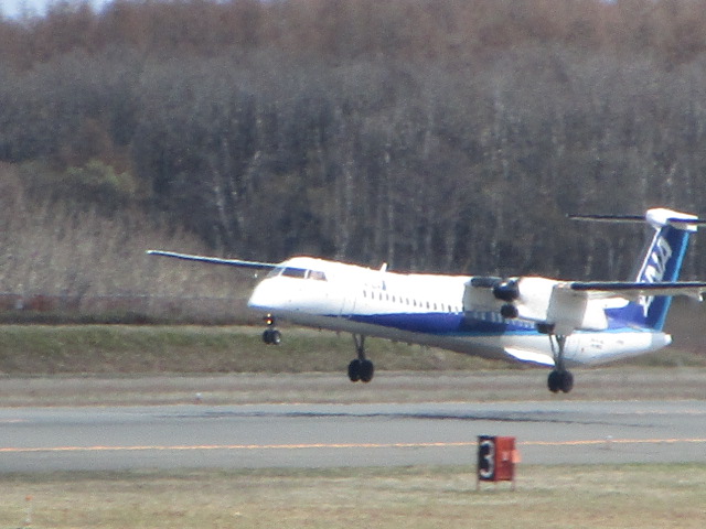 20250428_093740.JPG
