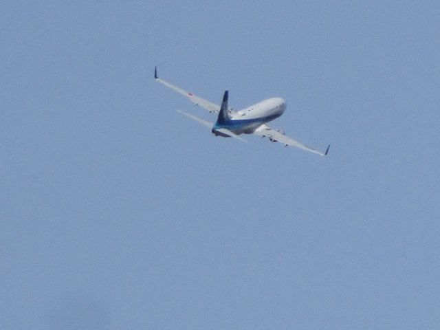 20250428_151908.JPG