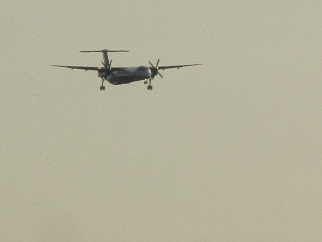 20250501_170831.JPG