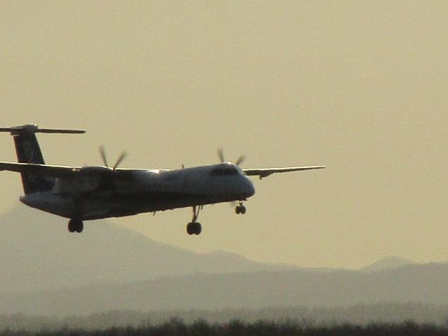 20250501_170905.JPG