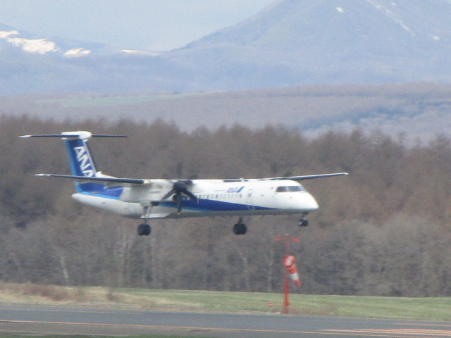 20250505_085315.JPG