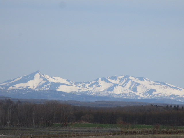 20250506_095341.JPG