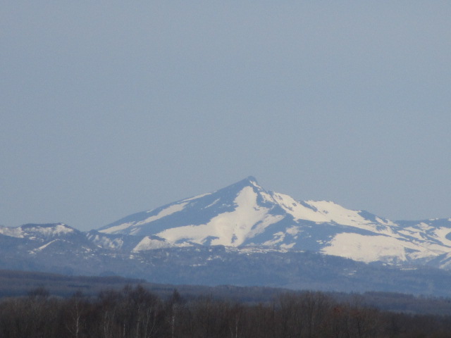 20250506_095355.JPG