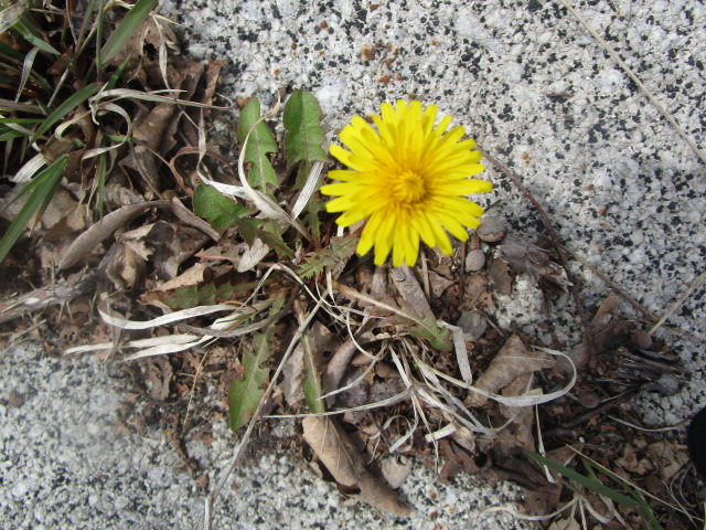 20250506_101648.jpg