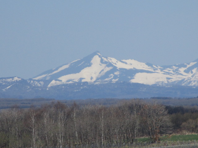 20250508_093924.JPG