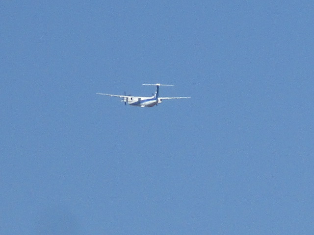 20250508_094246.JPG