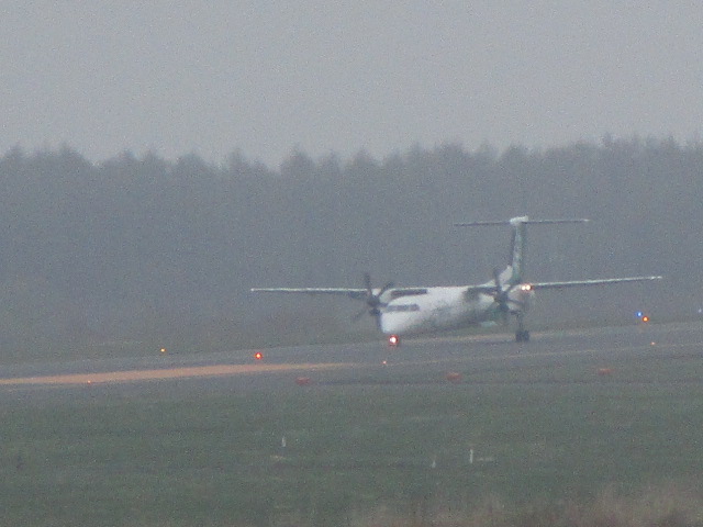 20250510_101028.JPG