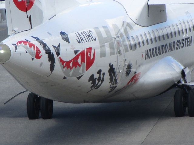 20250511_114941.JPG