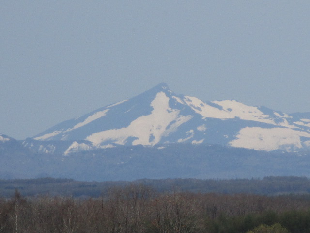 20250512_094600.JPG