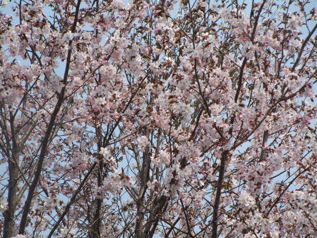 20250512_100434.JPG