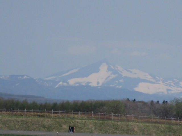20250513_095630.JPG