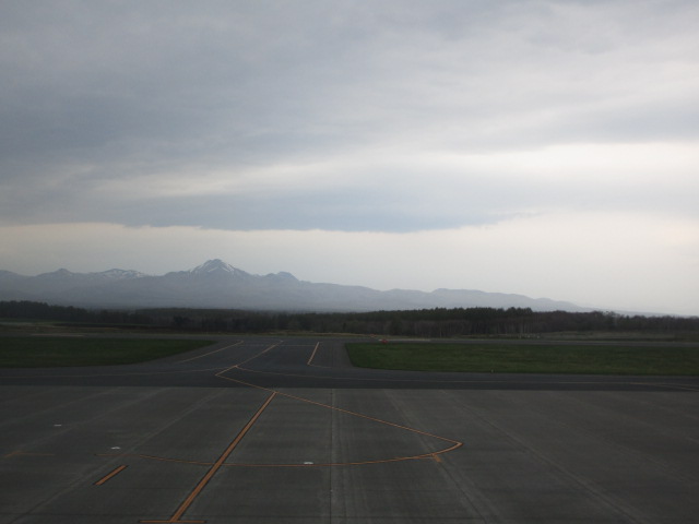 20250513_152519.JPG