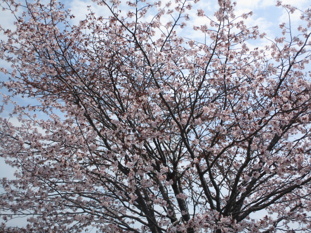 20250514_100420.JPG