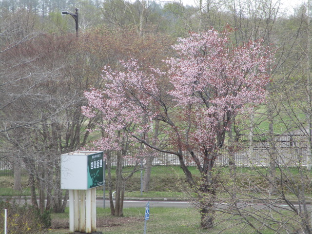 20250514_100647.JPG