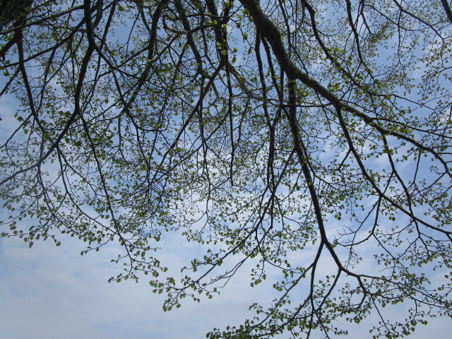 20250514_101325.JPG