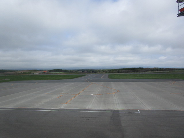 20250517_095101.JPG