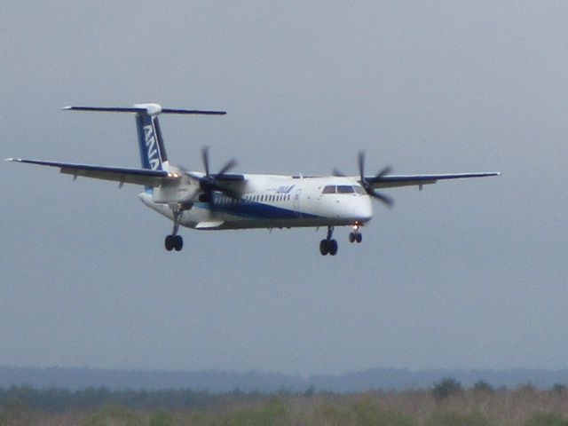 20250517_095117.JPG