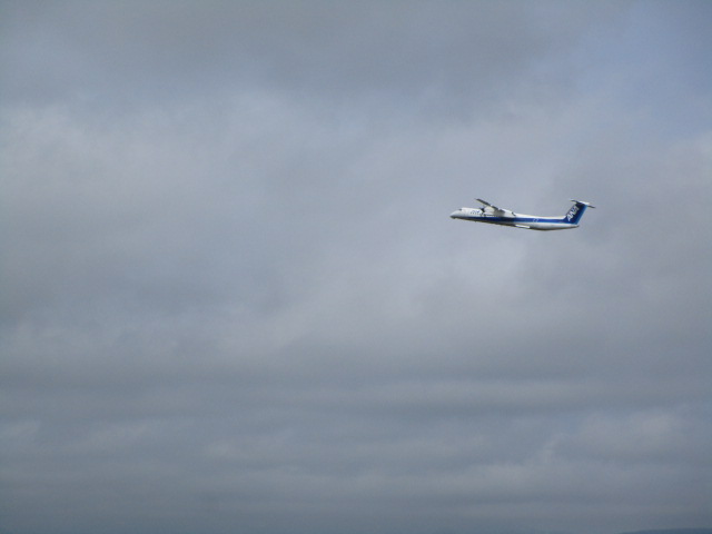 20250517_095306.JPG