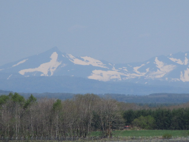 20250521_101107.JPG