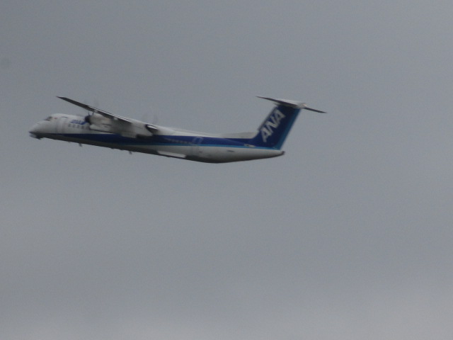 20250522_094913.JPG