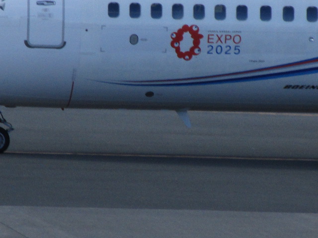 20250526_153511.JPG