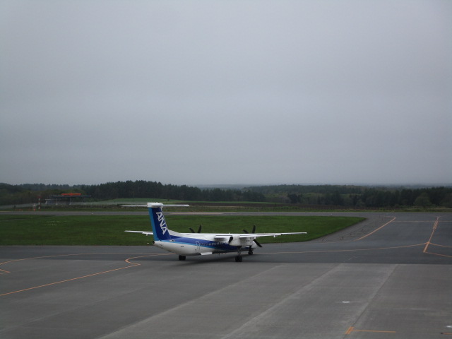 20250531_103351.JPG