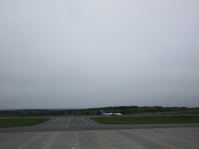 20250531_103628.JPG