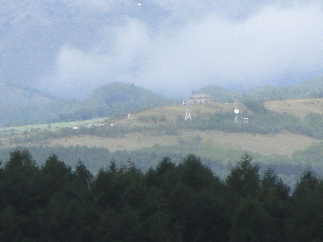 20250601_100354.JPG
