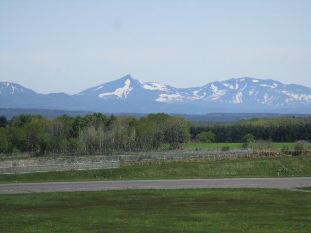 20250602_093609.JPG