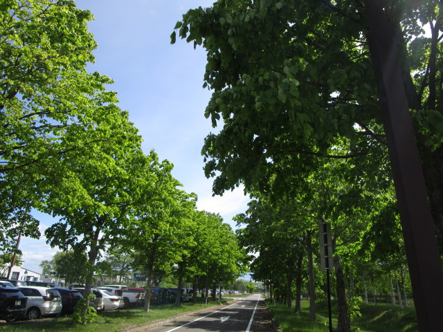 20250605_095232.JPG