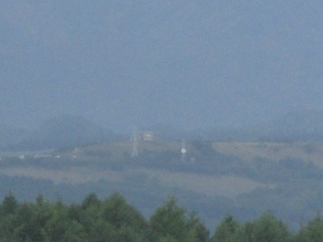 20250607_105832.JPG