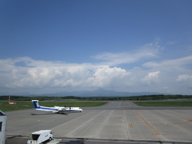 20250608_100800.JPG