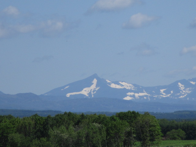 20250609_094407.JPG