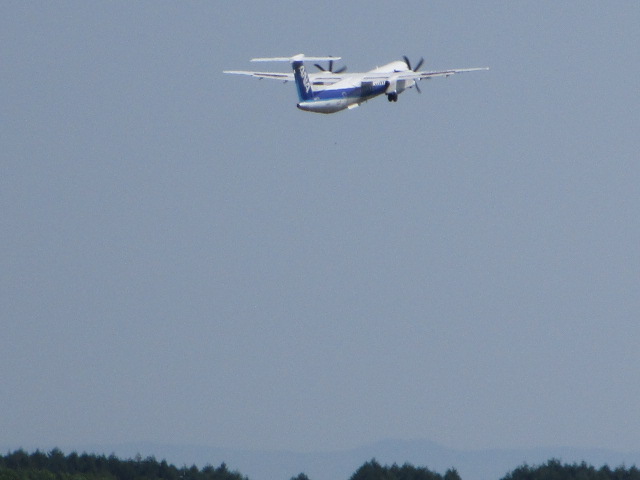 20250610_095632.JPG