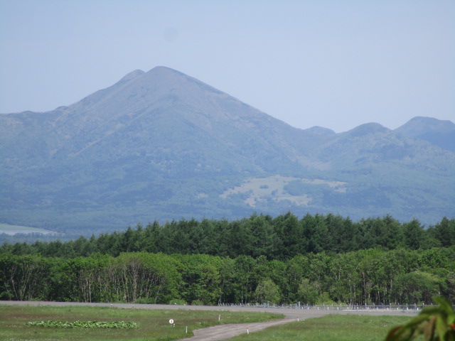 20250610_101414.JPG