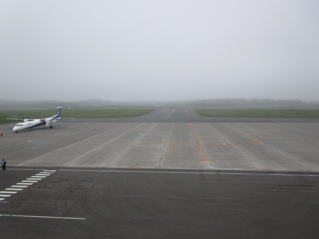 20250611_095421.JPG