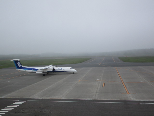 20250611_095554.JPG