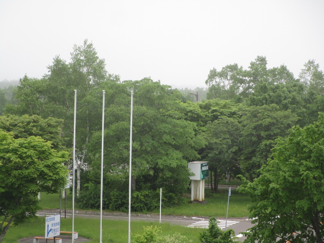 20250611_095802.JPG