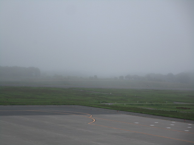 20250611_095835.JPG