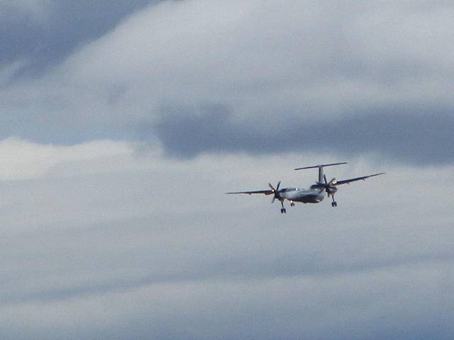 20250612_095537.JPG