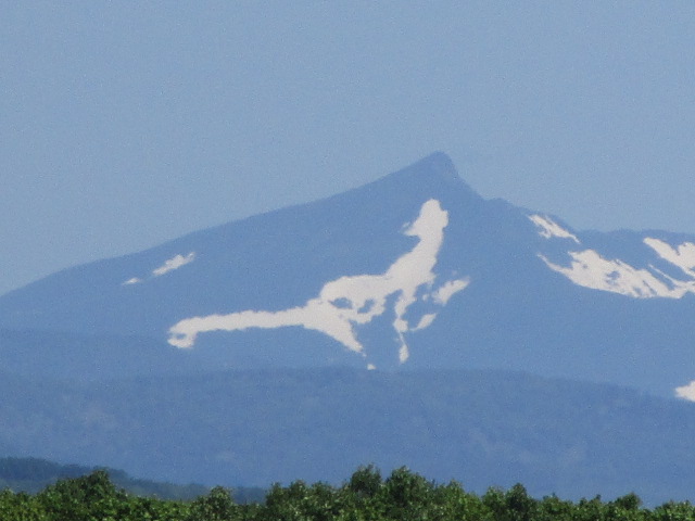 20250613_102317.JPG