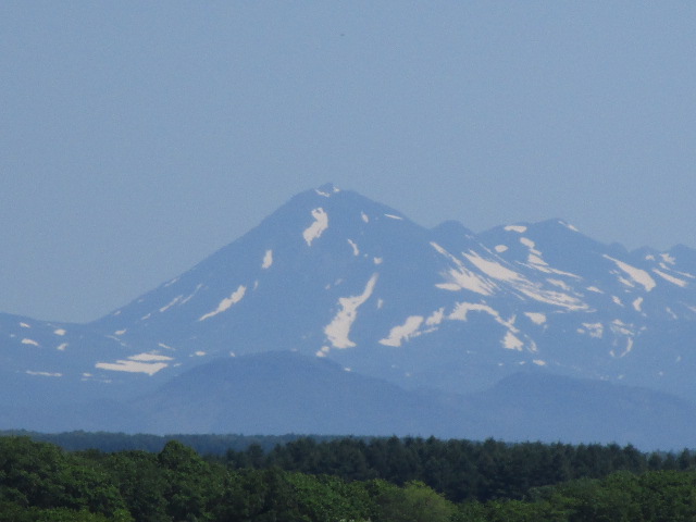 20250613_102335.JPG