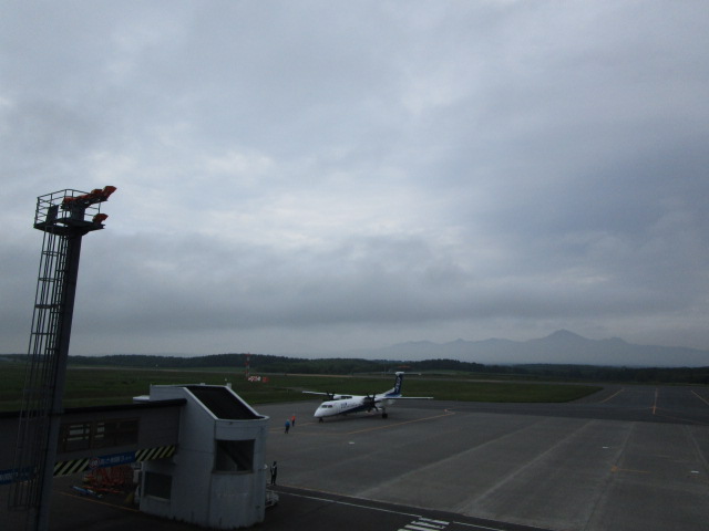 20250614_095637.JPG