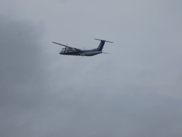 20250614_095743.JPG